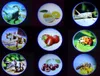 A collage of nine circular images, each displaying a different subject like dinosaurs, fruits, insects, and a bee. Náhled obrázku produktu