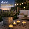 HORECA CANDLES citronella svíčky 25 ks – 4h hoření, proti Náhled obrázku produktu 4