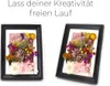 Trockenblumen Set zum Basteln, als Boho Deko und DIY Produktbild-Vorschau 5