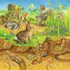 Ravensburger Kinderpuzzle - 08050 Les animaux dans leur Voir les images du produit 5