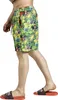 Der kleine Maulwurf Badeshort Herren Tropical multicolor Produktbild-Vorschau 5