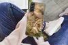 MuchoWow® Handyhülle Schutzhülle Hülle für Samsung Galaxy Produktbild-Vorschau 3