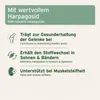 AniForte Afrikanische Teufelskralle für Pferde 1 kg - 100% Produktbild-Vorschau 3