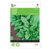 Spinat Winterriesen | Spinatsamen von Buzzy Seeds Produktbild-Vorschau 4