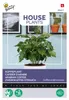 Buzzy House Plants Coffea Arabica Dwarf Coffee Bush Semená Náhľad obrázku produktu 1