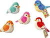 ak tronic Software & Services Birdies Produktbild-Vorschau 1