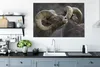OneMillionCanvasses® - Leinwandbilder - 140x90 cm, Schaap - Produktbild-Vorschau 4