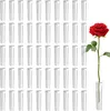 100 Stück Transparente Reagenzgläser für Blumen – Ideale Produktbild-Vorschau 1