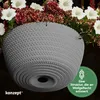 KONZEPT Blumenampel Hängend für Innen und Außen, Produktbild-Vorschau 5