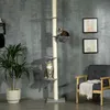 PawHut, tiragraffi per gatti, albero per gatti ad altezza Anteprima dell’immagine prodotto 8