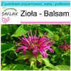 SAFLAX - Zestaw prezentowy - Zioła - Balsam - 20 Nasiona - Podgląd zdjęcia produktu 10