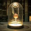 A golden snitch under a glass dome, illuminated from below, with bookshelves in the background. Podgląd zdjęcia produktu