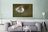 MuchoWow® Poster Maus - Jung - Blumen 120x80 cm - Bilder Produktbild-Vorschau 5