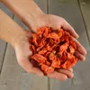 10 kg Lyra Pet® Karotten getrocknet Produktbild-Vorschau 6