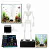 Halloween Skelett Deko 21cm, 3D gedruckte tanzende Skelett Produktbild-Vorschau 2