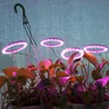 Vollspektrum LED Pflanzenlampe Dimmbar 4 Ring Pflanzenlicht Produktbild-Vorschau 9
