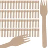 Set di forchette monouso 100 pezzi posate in legno Anteprima dell’immagine prodotto 1