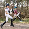 Steckenpferd Skippi. Das rotbraune Pferd an der Stange Produktbild-Vorschau 9