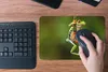 MuchoWow® Mauspad Mousepad Rotaugenlaubfrosch im Dschungel Produktbild-Vorschau 4