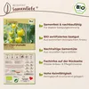 Samenliebe  Tomate Samen | Green Grape - grün & süß Produktbild-Vorschau 3