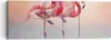 Bild auf Leinwand - Leinwandbild - 3 Teile - Flamingos Produktbild-Vorschau 1