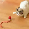 A cat is looking at a toy ball on a wooden floor. Náhled obrázku produktu