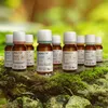 REAVET Bachblüten Globuli für Hunde und Katzen - Juckfrei Produktbild-Vorschau 4