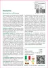 SAFLAX  - Rosmarino - 100 semi - Rosmarinus Anteprima dell’immagine prodotto 3