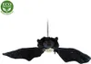 Pipistrello Peluche 50 Cm Ecologico Anteprima dell’immagine prodotto 4