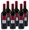 Conte di Campiano Negroamaro Passito IGT -trocken- (6 x Produktbild-Vorschau 1