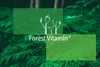Sulforaphan - 100 Brokkoli Kapseln - Brokkolisprossen Produktbild-Vorschau 7