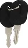 Two black keys with silver metal shafts are shown on a white background. Produktbild-Vorschau