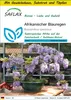 SAFLAX Anzucht Set - Afrikanischer Blauregen - Bolusanthus Produktbild-Vorschau 1