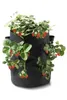 PARKSIDE® Erdbeere-Pflanzsack, 2er Set Produktbild-Vorschau 2
