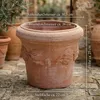 Teramico Terracotta Topf "Limoni" Frostfest optional mit Produktbild-Vorschau 2