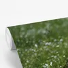 MuchoWow® Fototapete für Wohnzimmer oder Schlafzimmer Produktbild-Vorschau 3