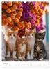 Spaß mit Katzen (Wandkalender 2027 DIN A3 hoch), CALVENDO Produktbild-Vorschau 9