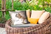 MuchoWow® Outdoor Kissen - Französische Bulldogge - weiß - Produktbild-Vorschau 3