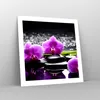 Poster - Poster ohne Rahmen - Orchidee Natur Wasser Blume - Produktbild-Vorschau 7