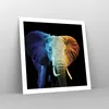 Poster - Poster ohne Rahmen - Bunt Elefant Fotografie - Produktbild-Vorschau 7