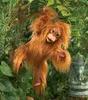 Folkmanis Affe / Baby Orang-Utan 3106 Produktbild-Vorschau 8