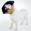 All Four Paws Hundekragen Comfy Cone S 14 cm Hellbraun Produktbild-Vorschau 4