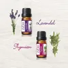 Lavendel Thymian Produktbild-Vorschau