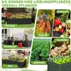 A collage of images showing different uses and types of plants grown in raised garden beds, with text overlays in German. Voir les images du produit