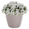 Splofy Blumentopf Produktbild-Vorschau 4