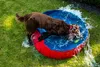 Nobby Pet Dog Pool, L, rot-blau, Ø 160 x 30 cm Produktbild-Vorschau 5