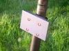 Gepäckkorb-Zubehör für den Ninebot by Segway KickScooter Produktbild-Vorschau 16