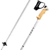 Leki Stella S White/Silver/Whitegold 120 cm Lyžiarske Náhľad obrázku produktu 3