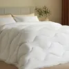 CASABEL Edredón Invierno Frío Intenso, 700g/m², 220x240cm, Vista previa de la imagen del producto 1