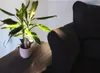 LED-Pflanzen-Strahler JASMIN Produktbild-Vorschau 5